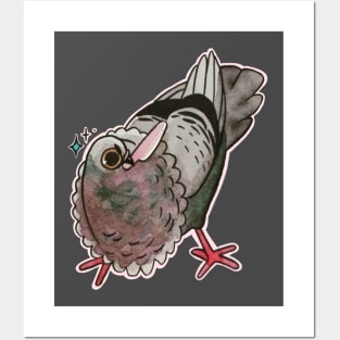 Knife Pigeon Posters and Art